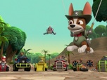 Replay Paw Patrol, la Pat'Patrouille - Travis dans la jungle