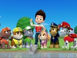 Replay Paw Patrol, la Pat'Patrouille - Les tortues d'eau douce