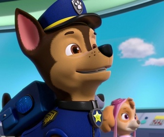 Replay Paw Patrol, la Pat'Patrouille - La Pat' Patrouille rencontre les Super Chats