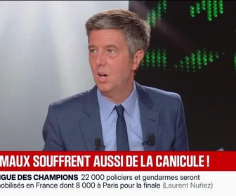 Replay BFM Grand Soir - Plus de 1 100 records de chaleur battus en cinq jours - 27/05