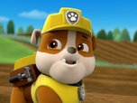 Replay Paw Patrol, la Pat'Patrouille - Alex le géant