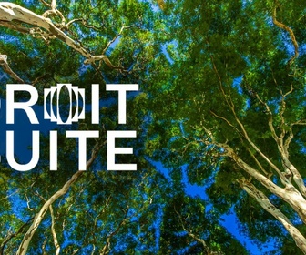Replay Droit de suite - Charte de l'environnement : bouclier écologique ou texte symbolique ?