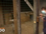 Replay Une saison au zoo - S14 E2