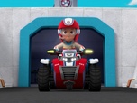 Replay Paw Patrol, la Pat'Patrouille - Alex l'apprenti fermier