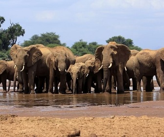 Replay Après le déluge - Kenya - Au rythme des pluies (1/4)