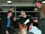 Replay Rex, chien flic - 07/08/2026