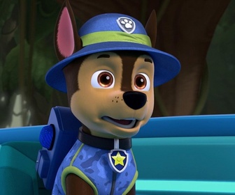 Replay Paw Patrol, la Pat'Patrouille - La danse des flamants roses