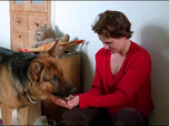 Replay Rex, chien flic - Qui a tué Sabine ?