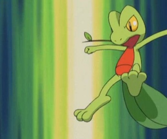 Replay Pokémon - Une sacrée carapace