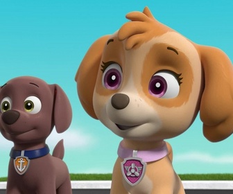 Replay Paw Patrol, la Pat'Patrouille - Le concours de sculpture sur sable