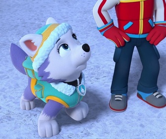 Replay Compilation Paw Patrol, la Pat'Patrouille 15