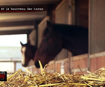 Replay Les visages du crime en région - Spéciale scandales sexuels dans le sport