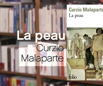 Replay La p'tite librairie - 26/08/2026