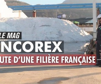 Replay LCP Le Mag - Vencorex, la chute d'une filière française