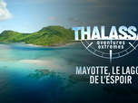 Replay Thalassa, aventures extrêmes - 15/12/2025