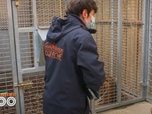 Replay Une saison au zoo - S13 E19