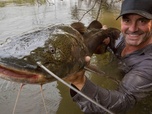 Replay Pêche XXL - S2E11 - Bataille avec les thons géants