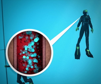 Replay Le mystère d'Oak Island : la course au trésor - S2E9 - Une plongée à risque