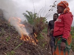 Replay ARTE Reportage - Madagascar : terre de feu (2022)