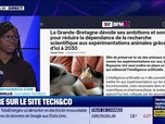 Replay Tech & Co, la quotidienne - À lire sur le site Tech&Co : La Grande-Bretagne dévoile ses ambitions et son plan pour réduire la dépendance de la recherche scientifique aux expérimentations animales grâce à l'IA d'ici à 2030, par Kesso Diallo - 12/11