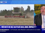 Replay La chronique éco - Blé: la France enregistre sa plus mauvaise récolte en 40 ans, quel impact pour les consommateurs et les producteurs?