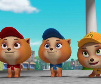 Replay Compilation Paw Patrol, la Pat'Patrouille 35