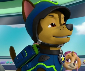 Replay Paw Patrol, la Pat'Patrouille - A la recherche du sac perdu