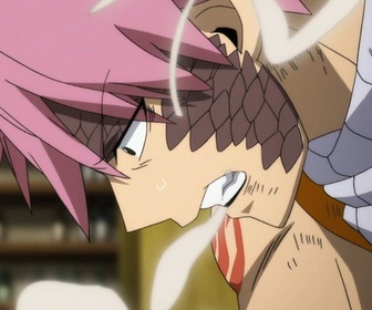 Replay Fairy Tail - S9 E45 - La porte des promesses