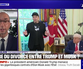 Replay 20H BFM - Il est juste devenu fou: Donald Trump assure être celui qui a demandé à l'homme d'affaires Elon Musk de partir de l'administration américaine.