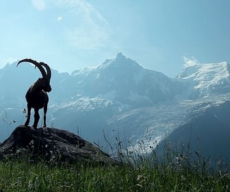 Replay Les Alpes, les sommets de l'extrême - La France sauvage