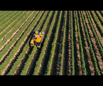 Replay Le village viticole de Villány annonce des vendanges prometteuses