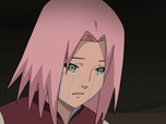 Replay Naruto Shippuden - S8 E22 - Amère décision