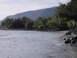 Replay C pas si loin - La montée des eaux en Polynésie française