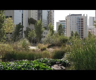 Replay Sols perméables et tunnels géants : Lisbonne devient une ville éponge