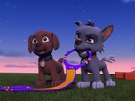Replay Paw Patrol, la Pat'Patrouille - La famille chauves-souris