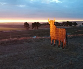 Replay ARTE Journal - Taureau Osborne : la mythique sentinelle des routes espagnoles