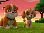 Replay Paw Patrol, la Pat'Patrouille - Sauvetage extrême : Mystérieuses disparitions