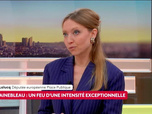 Replay L'invité politique - 14/07/2026