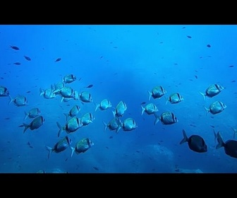 Replay L'UE investit 92 millions d'euros dans un réseau mondial d'observation des océans