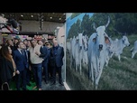 Replay Dermatose, droits de douane, violence politique : les annonces de Macron au Salon de l'agriculture