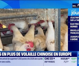 Replay Good Morning Business - Europe spatiale : réunion décisive à Brême