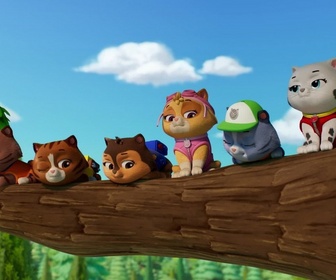 Replay Paw Patrol, la Pat'Patrouille - Mission Pompiers : Les guim-o-choco de M. Hellinger