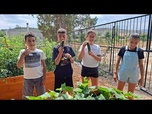 Replay Crise climatique : Chypre sensibilise les enfants à travers le projet de plantation Greening