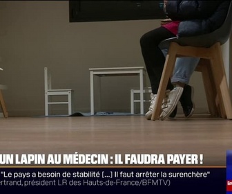 Replay 20H BFM - Taxe lapin: ne pas honorer un rendez-vous médical pourrait bientôt être passible d'une amende