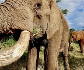Replay Territoires extrêmes - Namibie sauvage