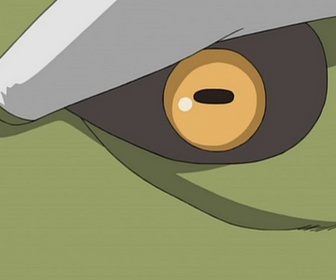 Replay Naruto Shippuden - S7 E3 - L'élève surpasse le maître