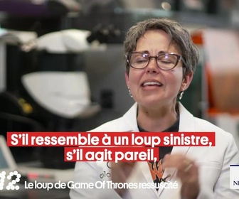 Replay Le grand top 20 du Petit Q (Partie 2)