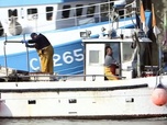 Replay Invitation au voyage - 14/05/2025 - Dans les filets de la Manche, le hareng est roi
