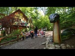 Replay Des dinosaures grandeur nature pour diversifier le tourisme