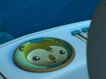 Replay Les Octonauts et les requins marteaux